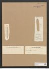 Hantzschia ? dubrovicensis Grun. (de-Toni-Nr.: Genus 50, Species 2210) Zeichnungen Sammlung Grunow Nr. 4622 (NHMW-BOT-W0372670)